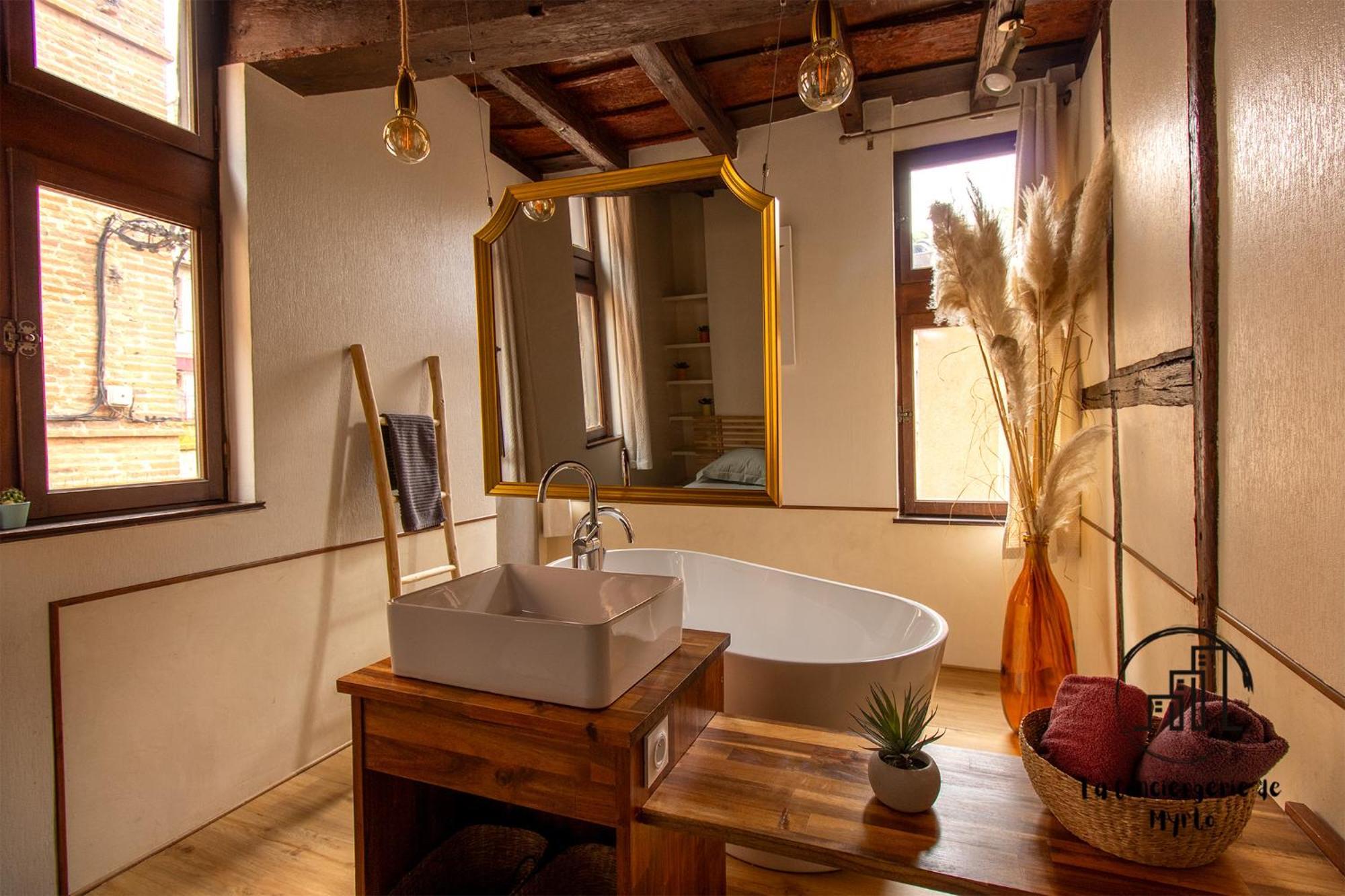Sous Les Toits De Sainte-cecile Holiday home *